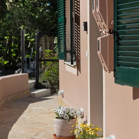 In An Olive Grove! * Corfu (city)