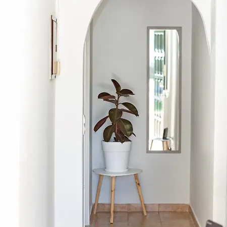 Apartment In An Olive Grove! *
