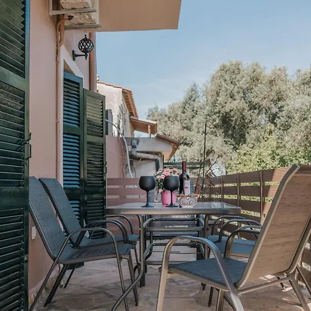In An Olive Grove! Apartment *